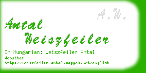 antal weiszfeiler business card